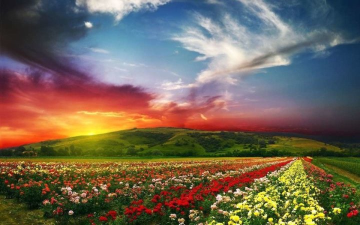 Panch Kedar Tour Package